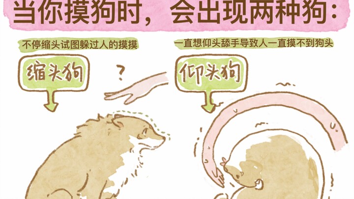 Trên thế giới có hai loại chó, chỉ cần đưa tay ra sờ là biết ngay! Chó rụt đầu thì liên tục thu đầu 