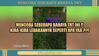 MINECRAFT - MENCOBA SEBERAPA BAHAYA TNT❓❓❗❗