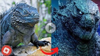 I'm a Big Kid Now Cute Baby Animals - Animals Transformation To Monster