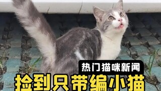 สาวน้อยเก็บแมวน้อยสุดสวยได้ คุณลุงสวมหมวกบอกว่ามันมีบัตรประจำตัว