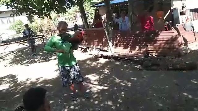 Kelso Gold vs Manok na pula. Pinaglaro-an lang ang kalaban.  Win tayo diyan mga bai.