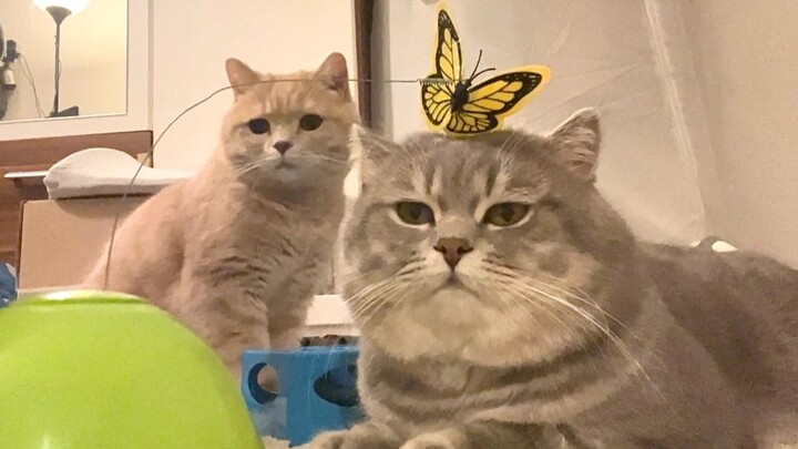 Being ostracized is my fate—I get it.