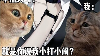 我服了甲流哥