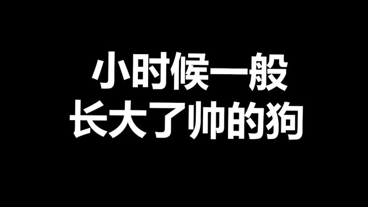 เกร็ดความรู้เกี่ยวกับสัตว์เลี้ยง: ตอนเด็กๆ หน้าตาไม่ค่อยดีเหรอ? คุณรู้หรือเปล่าว่าหมาที่สวยขึ้นในภาย