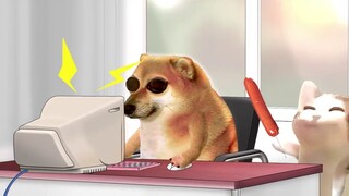 I want to eat some staple food