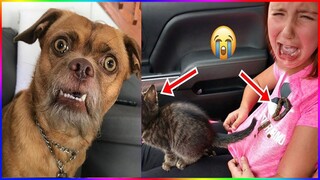 Funny Dog And Cat 😍🐶😻 Funniest Animals #127