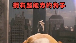 当一只狗子获得超能力，是多么的快乐