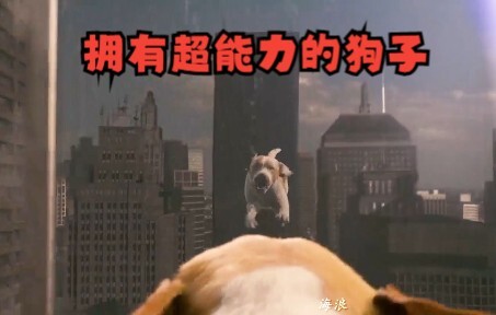 当一只狗子获得超能力，是多么的快乐