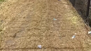 勤劳到底能不能致富