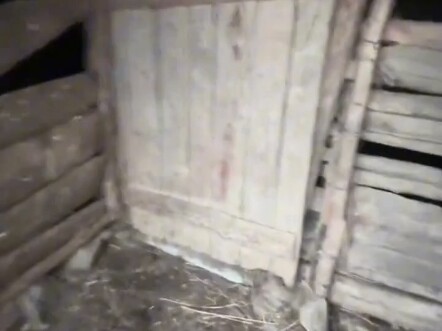 College student returns home and plays with a neighborhood kid, who unethically sets his dog on him.