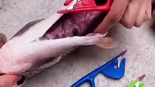 best gadget for fish chief