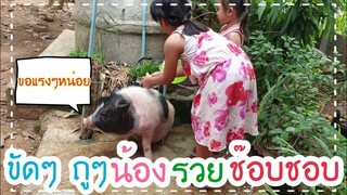 ช่วงนี้เด็กๆปิดเทอมน้องรวยมีเพื่อนเล่น👨‍👧‍👦🤗🐕🐖