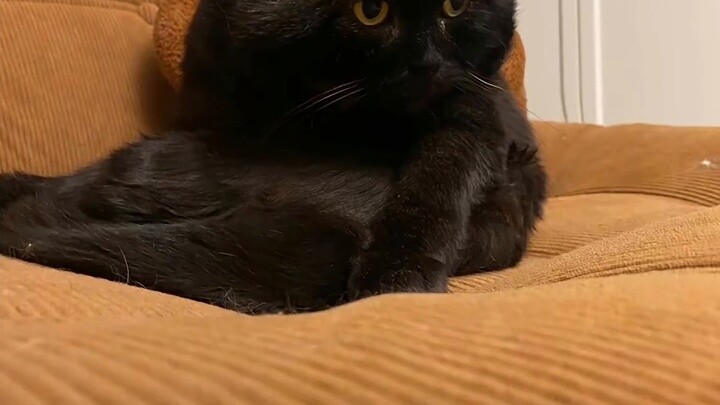 There has to be a place for me in this series