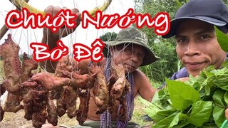 Chuột Đồng Trộn Sả Ớt Nướng Vòng Tròn Trên Bờ Đê Nơi Vùng Quê ... Nghèo