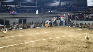 coliseo de manila 4-23-25 solo champion