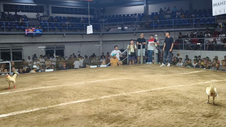 coliseo de manila 4-23-25 solo champion