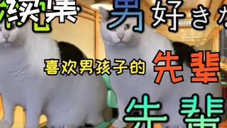 【熟肉】喜欢男孩子的先辈的故事（其二） | 猫meme