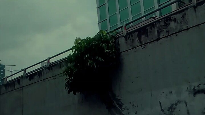 Tuhan Punya cara🙏