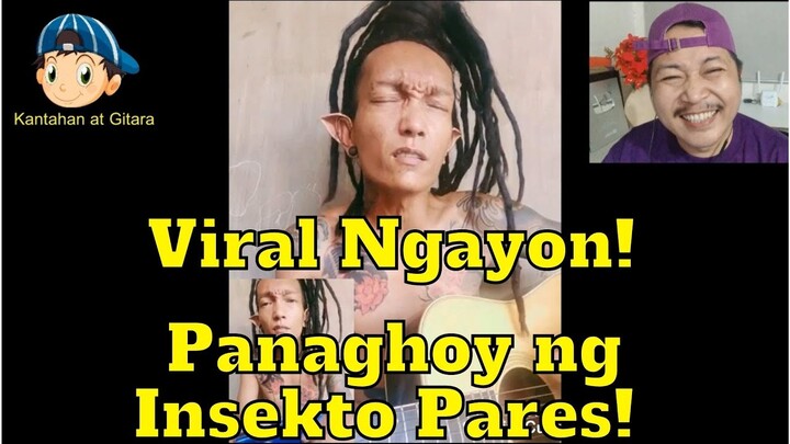 Viral Ngayon Panaghoy ng Insekto Pares! 🎤🎼😎😘😲😁