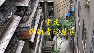为什么跑酷的人，不敢来重庆？