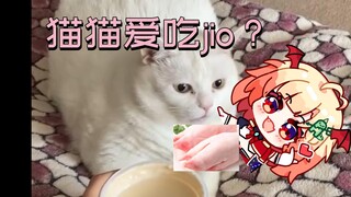 最喜欢猫舔我的jio了！