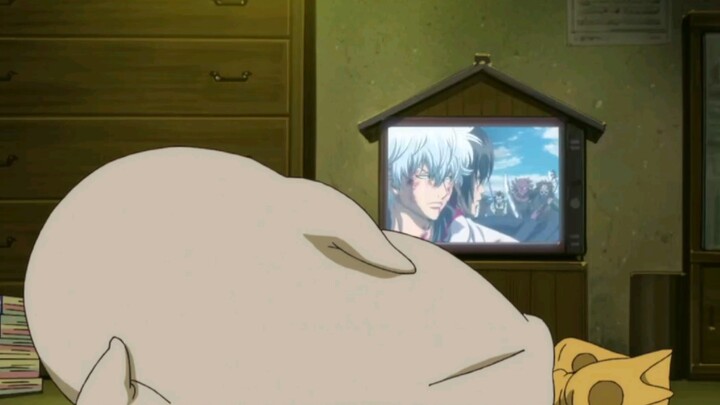 "Wig: You told me that Elizabeth like this is a white devil! How could I admit it!"