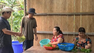 Cả Nhà Bất ngờ Sau 1 Giờ Đổ Lú Cá Tép Cỡ Này Ai Thấy Cũng Mê | TKQ & Family T1116