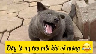 Biểu cảm khi ny của bạn khi bị vỗ mông 😂