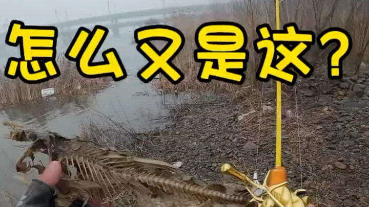 How did I catch this again? You scared me to death!