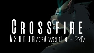 CROSSFIRE ~ Ashfur PMV (Drawings by Croway)