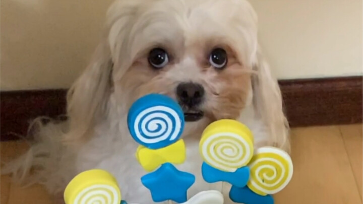 Juanjuan's 3rd Birthday AI