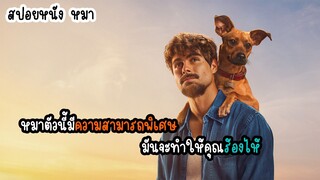 หมามีความสามารถตรวจจับสิ่งที่มองไม่เห็นได้ สปอยล์