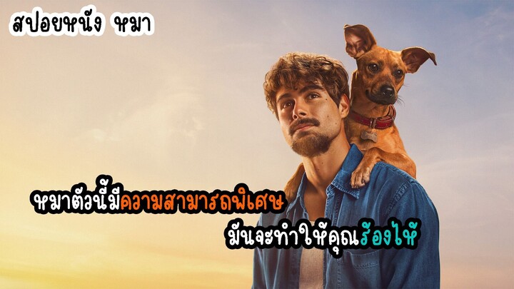 หมามีความสามารถตรวจจับสิ่งที่มองไม่เห็นได้ สปอยล์