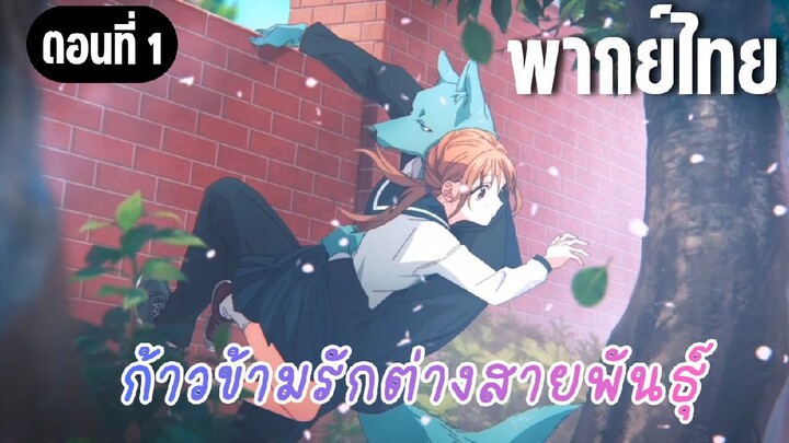 ก้าวข้ามรักต่างสายพันธุ์ [พากย์ไทย]  ฝากตัวด้วยนะ