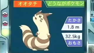 オーキド博士のポケモン講座(オオタチ)