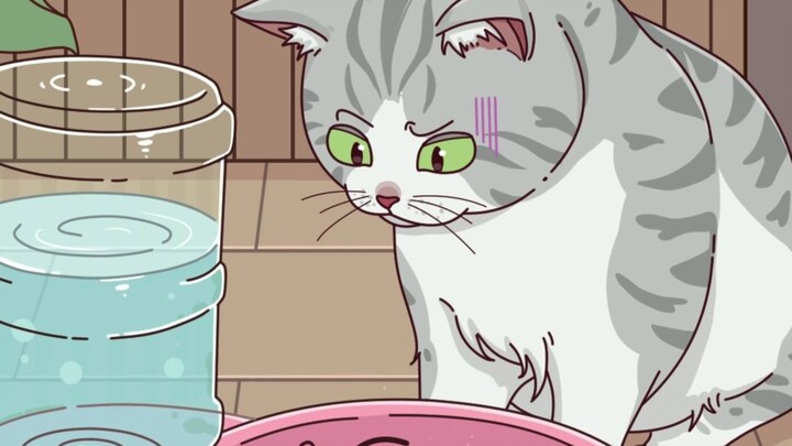 Why do cats “fall for” toilet water?