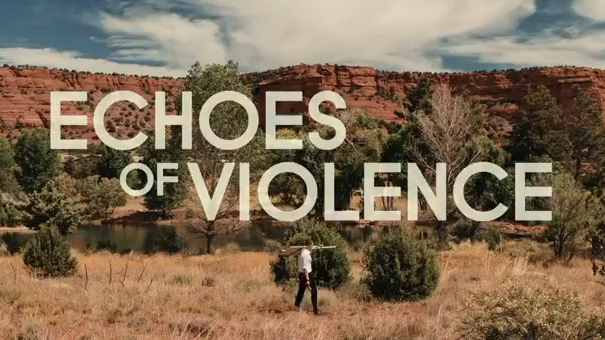 echoes of violence