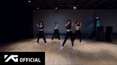 BLACKPINK-'DDU DU DDU DU' DANCE PRACTICE (MOVING VER.)