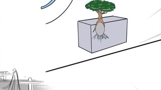 Ask your friends if they are willing to be buried with trees to continue their lives after death!