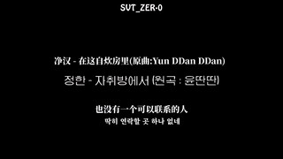 【SVT_ZER·0】SEVENTEEN 净汉 - 在这自炊房里 COVER 零站双语中字