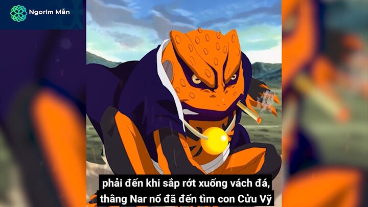 Ngorlm Mẫn - tìm kiếm cữu vĩ #anime #schooltime