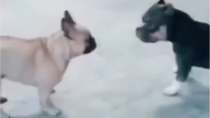 عذراً، نحن الاثنان نشعر بالتعاطف المتبادل ولا نستطيع السيطرة على مشاعرنا.