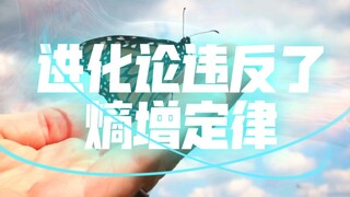 ชีวิตแรกเกิดขึ้นได้อย่างไร?