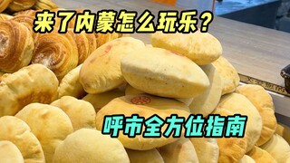 Everyone who passes by must be introduced to Hohhot by me!