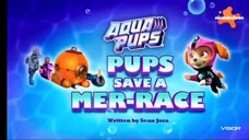 Paw Patrol Musim 9 Episode 18