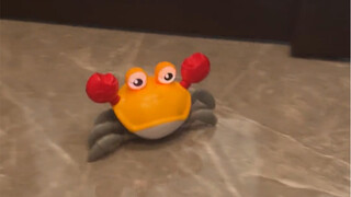 小侄子的新玩具 即使是放在大学圈里面也是相当炸裂的