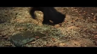 ๐ซGreen Snake girl ๐ซ#movies #cdrama