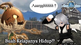 Toram Online || Buah Kelapanya Hidup?? #part2