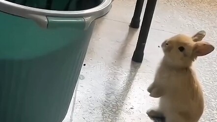 Lời nhắc nhở thân thiện: “Được gợi ý cho những người dễ thương, đáng yêu và hài hước”