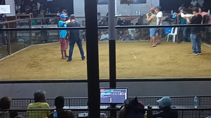 1st fight Magtakin Cockfighting 2hits 1/6/2024